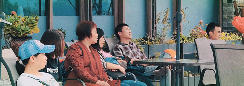 赏山悦水·拥抱自然——香蕉视频在线视频2020金秋阳朔之旅